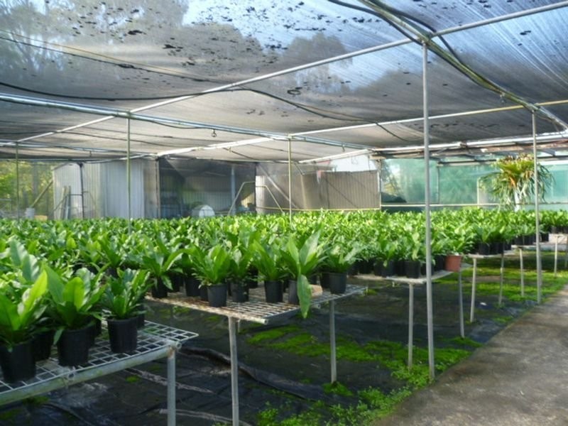 1685 Mt Cotton Rd, Mount Cotton QLD 4165