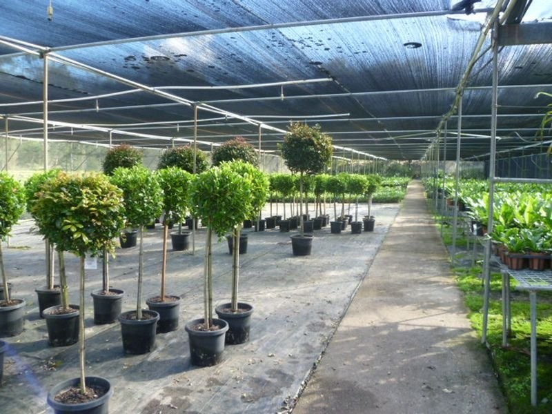 1685 Mt Cotton Rd, Mount Cotton QLD 4165