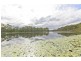 337 Mount Cotton Road, Capalaba QLD 4157