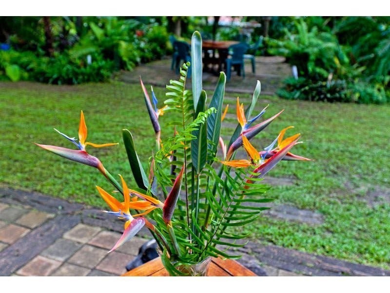 336 Woodlands Drive, Thornlands QLD 4164