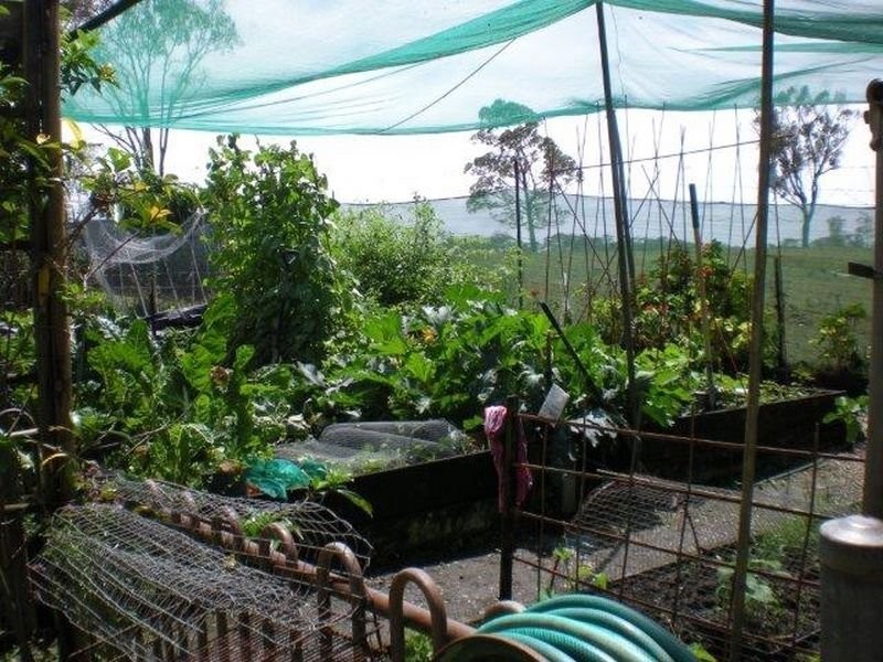 336 Woodlands Drive, Thornlands QLD 4164