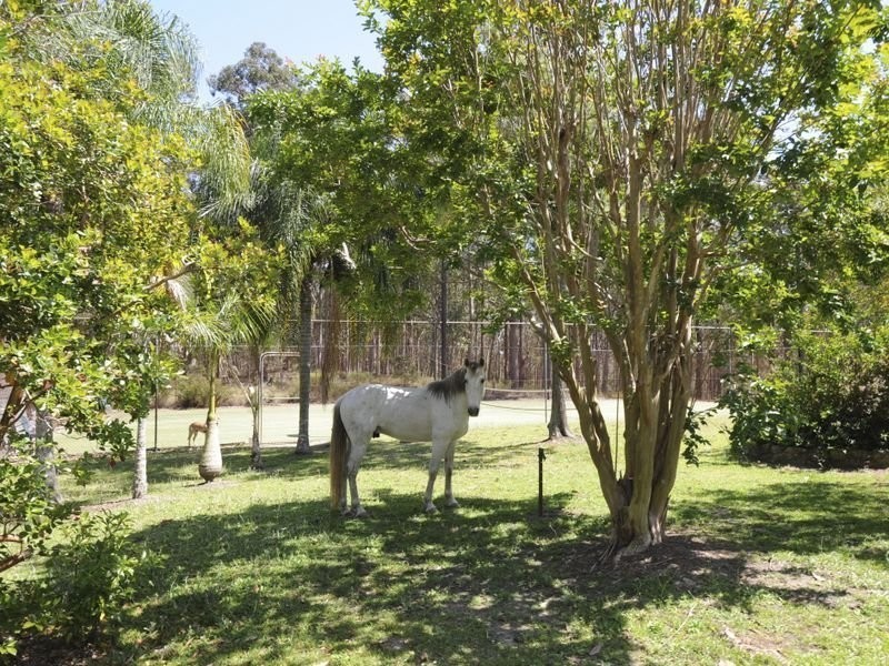 38B Avalon Road, Sheldon QLD 4157