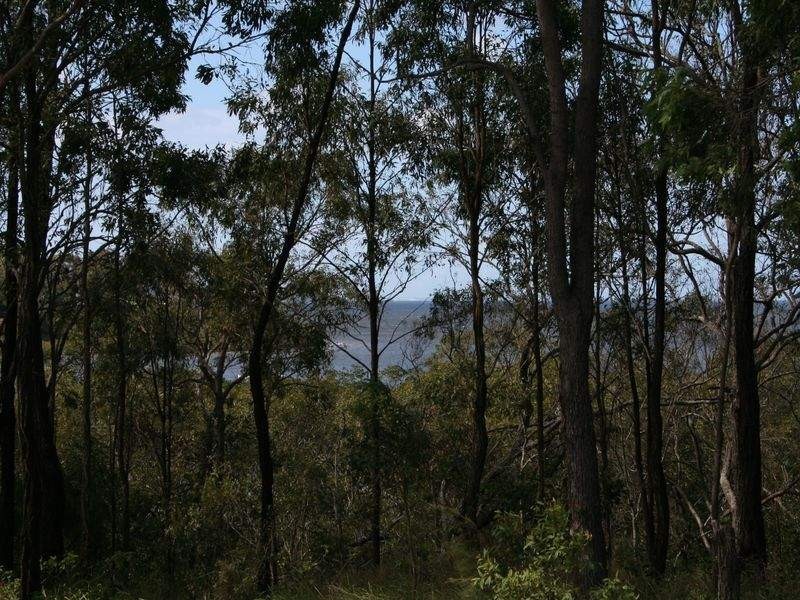 13 Beelong Street, Macleay Island QLD 4184