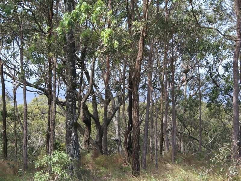 13 Beelong Street, Macleay Island QLD 4184