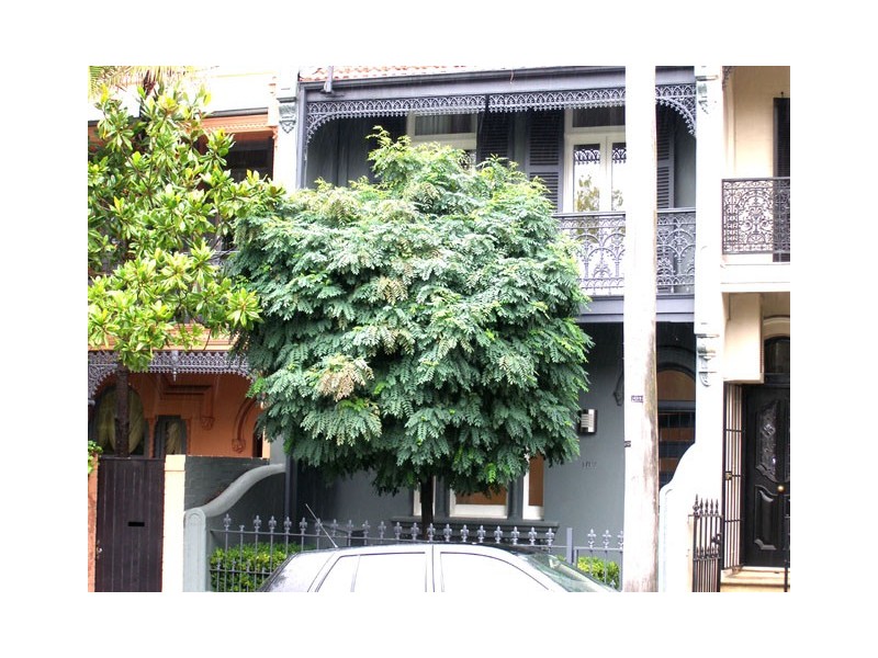 107 JERSEY ROAD, Woollahra NSW 2025