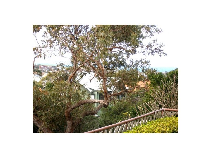 2-5 Rockley, Bondi NSW 2026