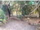 42 Comber Street, Paddington NSW 2021