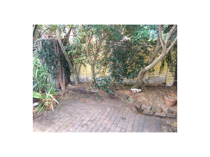42 Comber Street, Paddington NSW 2021