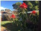 82 Birdwood Street, Innaloo WA 6018