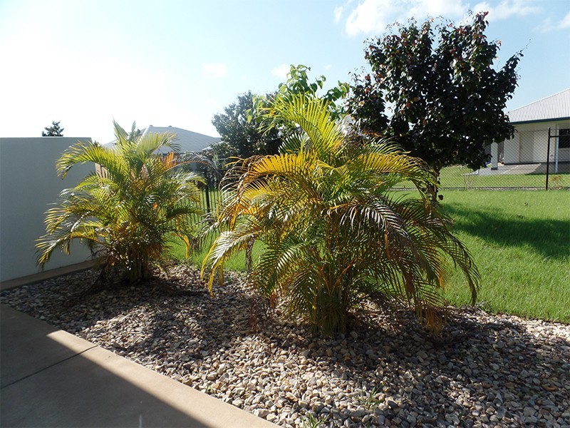 29B Henschke Street, Bellamack NT 0832