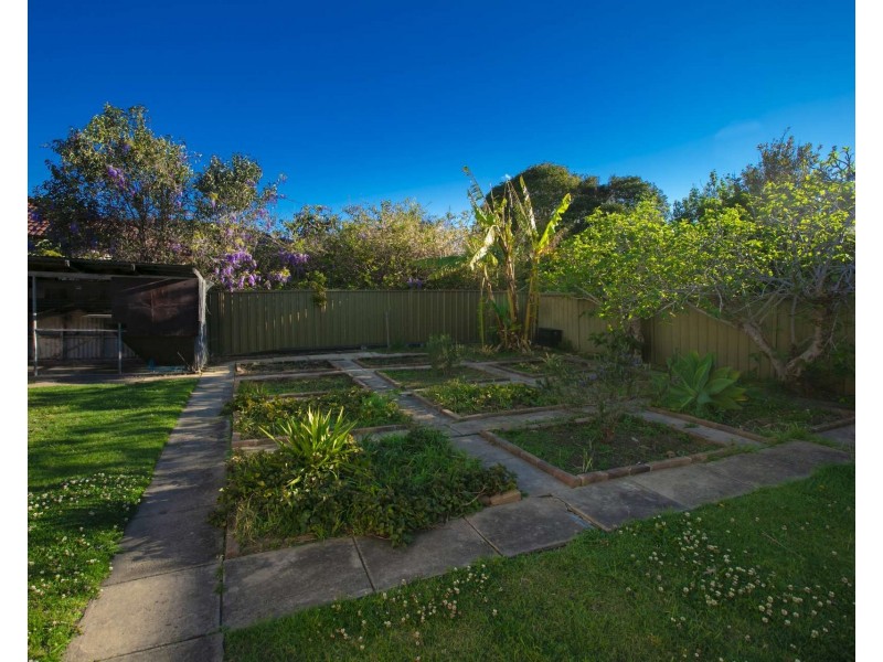31 Cabbage Tree Lane, Fairy Meadow NSW 2519