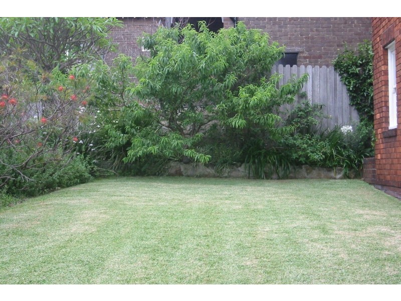 13 Carr Street, Waverton NSW 2060