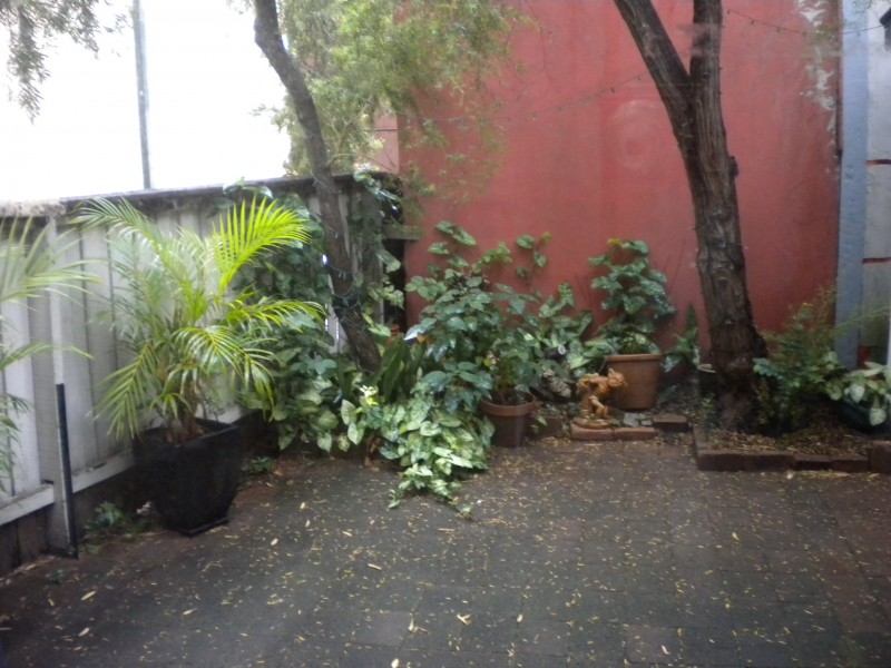 65 Victoria St, Mcmahons Point NSW 2060