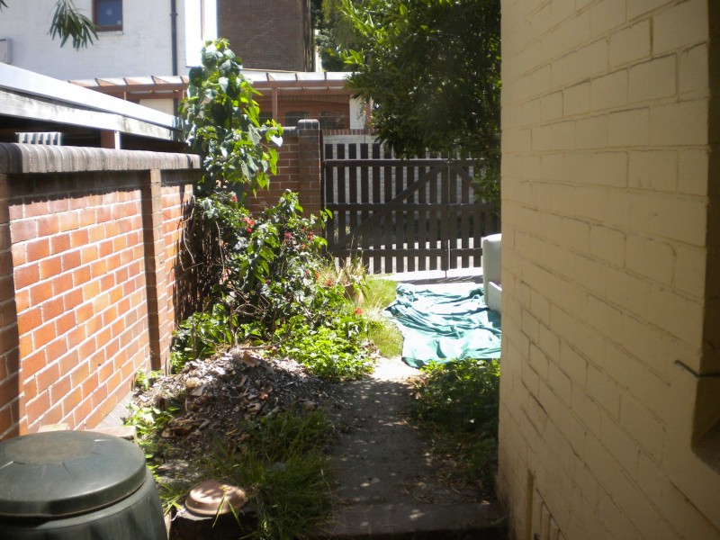 54 Lavender St, Lavender Bay NSW 2060