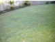 29  East Crescent st, Mcmahons Point NSW 2060