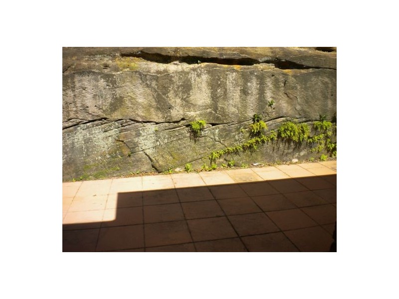 43 Dumbarton St, Mcmahons Point NSW 2060