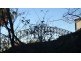 17/21 Waiwera St, Mcmahons Point NSW 2060