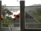 24 East Crescent St, Mcmahons Point NSW 2060