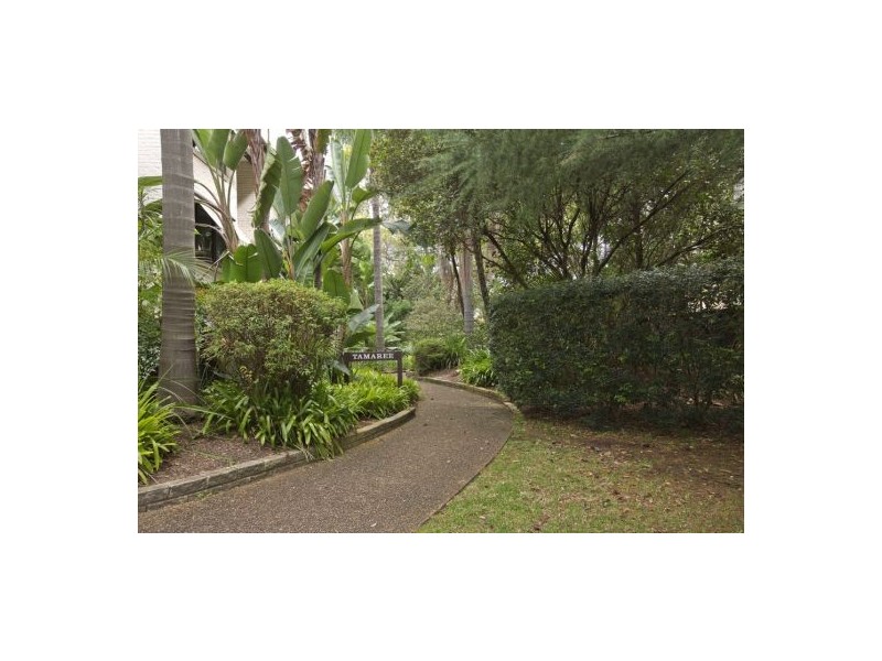 69/2 Artarmon Rd, Willoughby NSW 2068