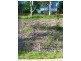 Pennant Hills NSW 2120