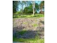 Pennant Hills NSW 2120