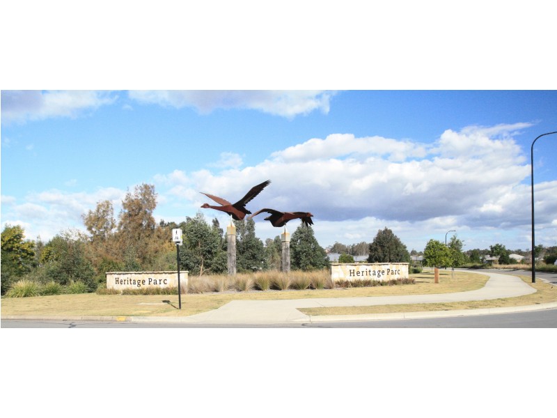 20 Tournament Street, Rutherford NSW 2320