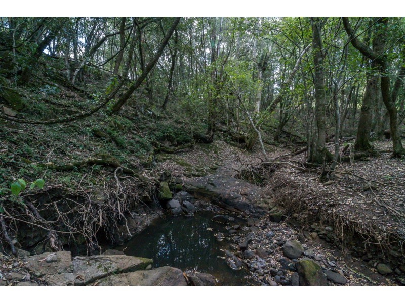 Hilldale NSW 2420