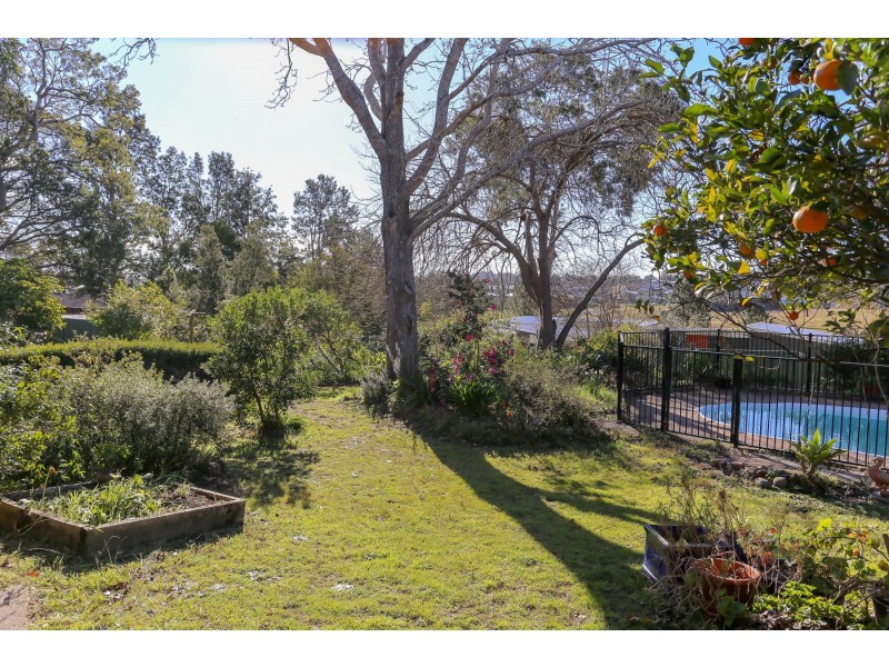 7 Victoria Road, Bolwarra NSW 2320