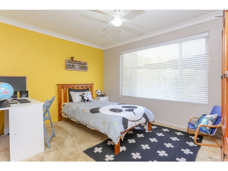 17 Walsh Street, Rutherford NSW 2320