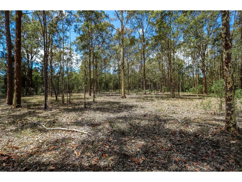 45 White Street, Greta NSW 2334