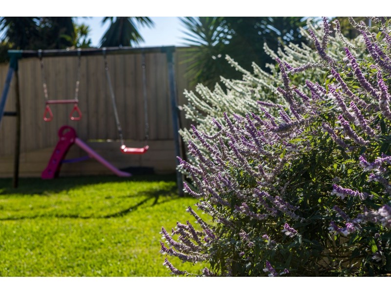 35 Saddlers Drive, Gillieston Heights NSW 2321