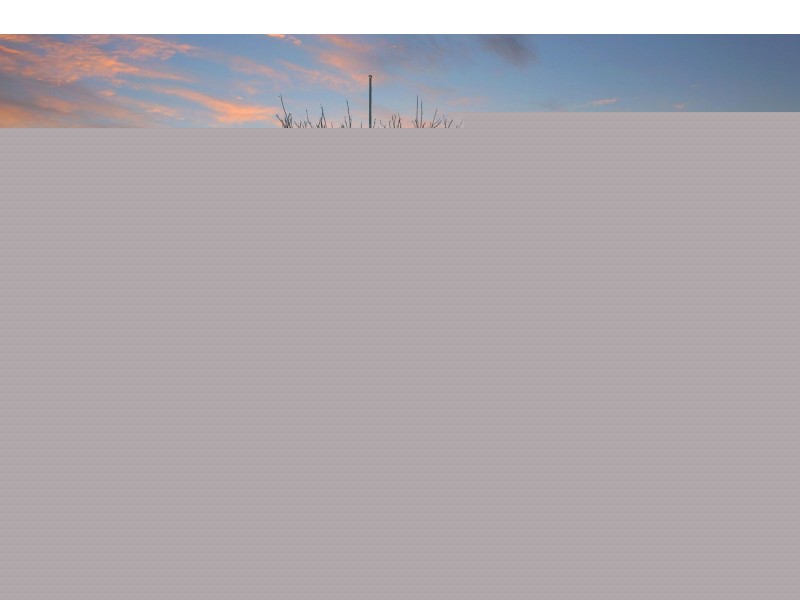 11 Easton Close, Rutherford NSW 2320