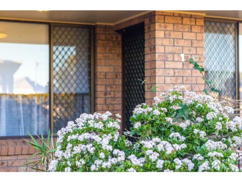 1/9 Hickey Street, Cessnock NSW 2325
