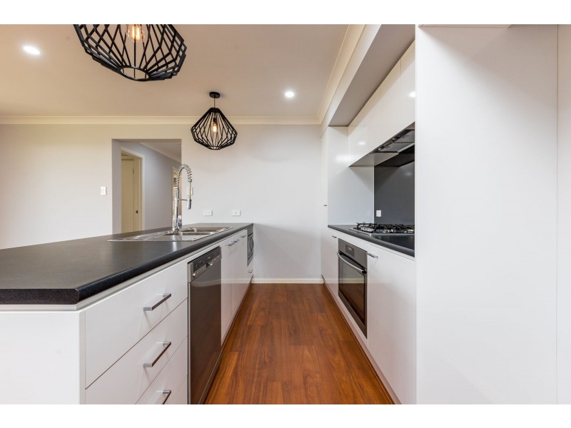 20 Tournament Street, Rutherford NSW 2320