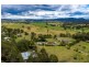 537 Butterwick Road, Duns Creek NSW 2321