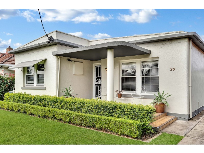 25 Roy Street, Lorn NSW 2320