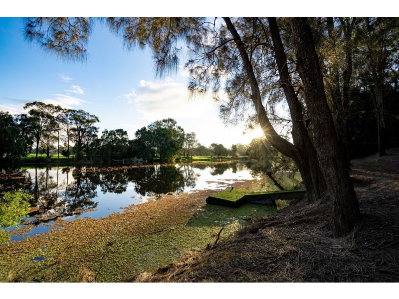 20 Oxbow Place, Clarence Town NSW 2321