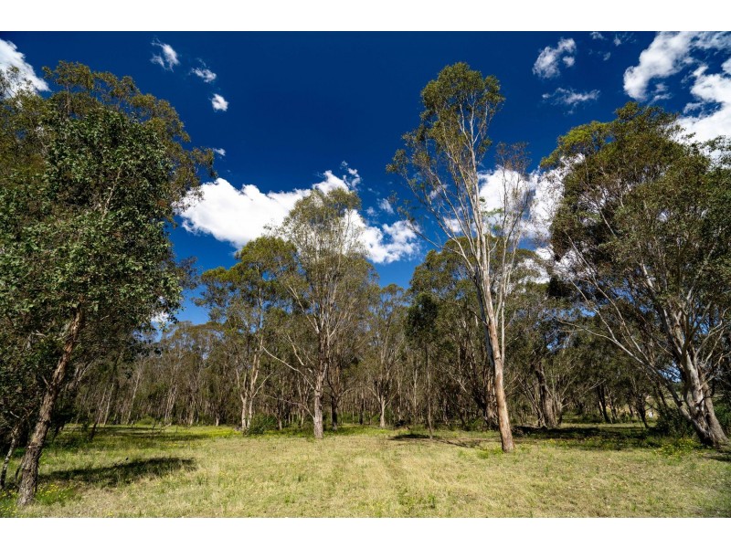 860 Old Maitland Road, Bishops Bridge NSW 2326