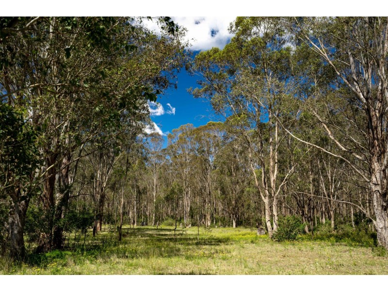 860 Old Maitland Road, Bishops Bridge NSW 2326