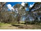 860 Old Maitland Road, Bishops Bridge NSW 2326