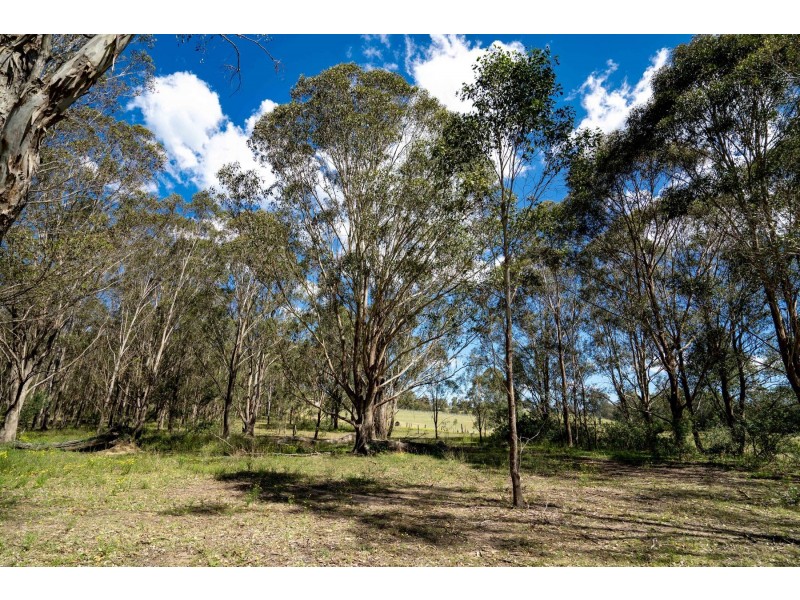 860 Old Maitland Road, Bishops Bridge NSW 2326