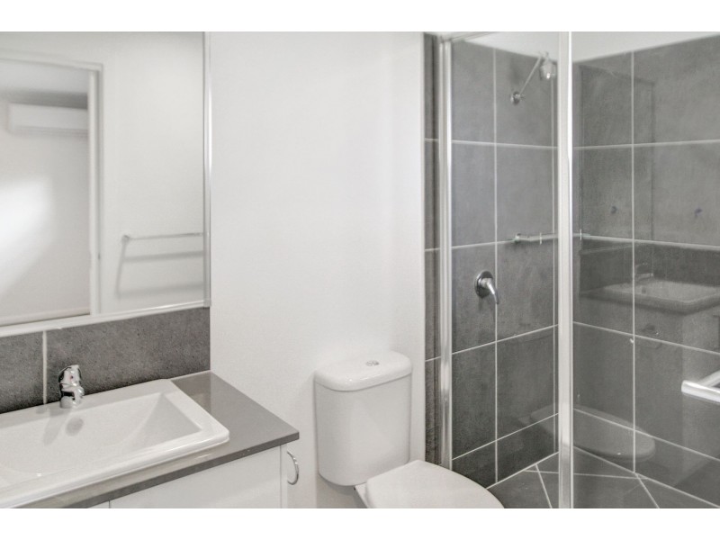 53 Harvest Boulevard, Chisholm NSW 2322