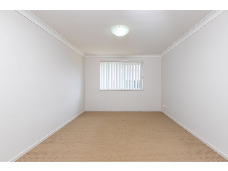 16 Prince Street, Bolwarra Heights NSW 2320