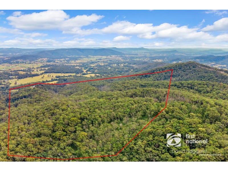 151 Keppies Road, Paterson NSW 2421