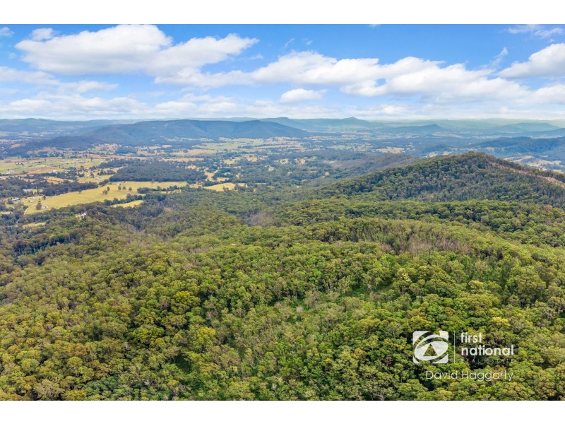 151 Keppies Road, Paterson NSW 2421