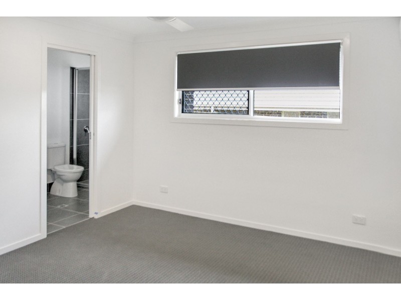 53 Harvest Boulevard, Chisholm NSW 2322