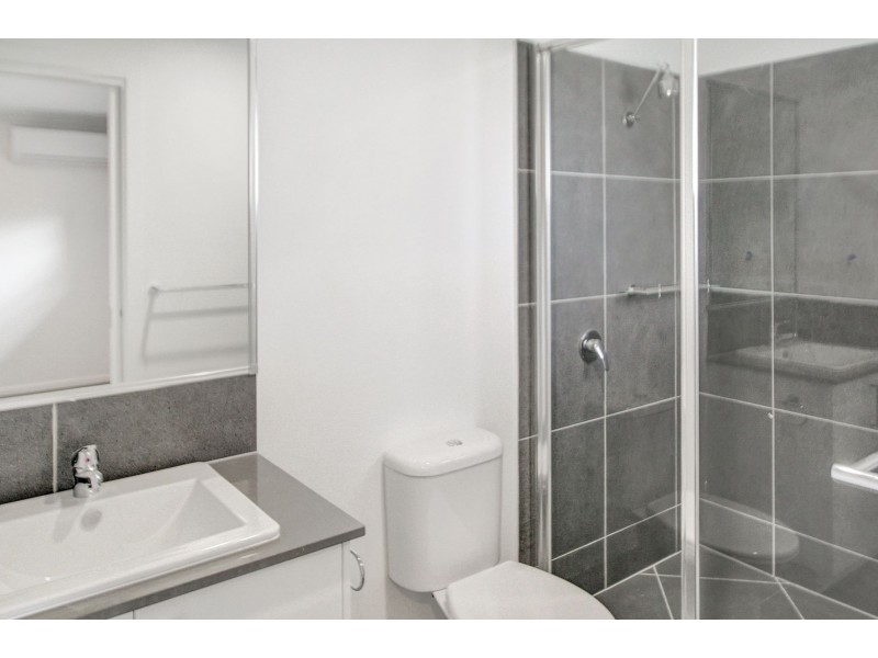 53 Harvest Boulevard, Chisholm NSW 2322