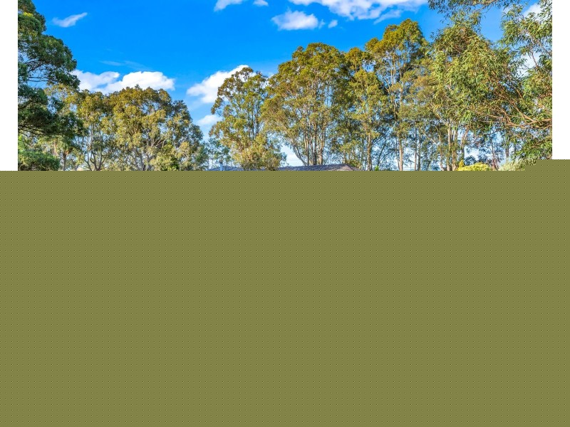 8 Tocal Road, Bolwarra Heights NSW 2320