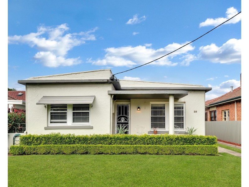 25 Roy Street, Lorn NSW 2320