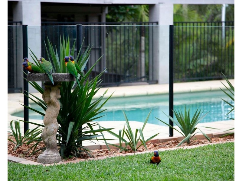 8 Moore Road, Bolwarra Heights NSW 2320